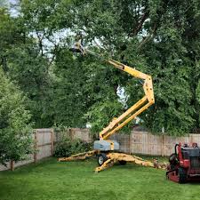 Reliable Watseka, IL Tree Removal and Landscaping Services Solutions